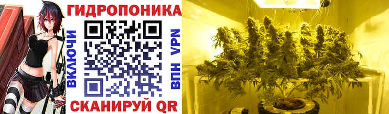 Цена Иннополис Кодеин Cocaine Alpha PVP Меф Бошки Шишки