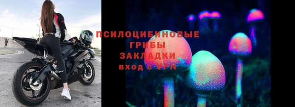 гашиш Арсеньев