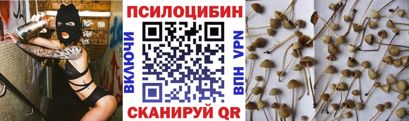 Псилоцибиновые грибы Cubensis Иннополис