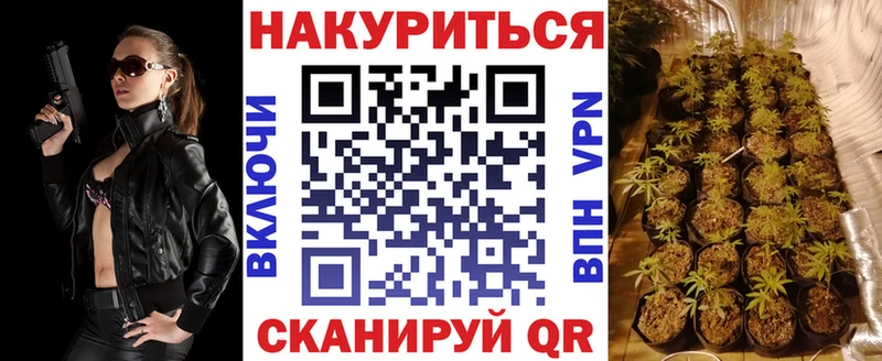 Бошки Шишки гибрид  Иннополис 